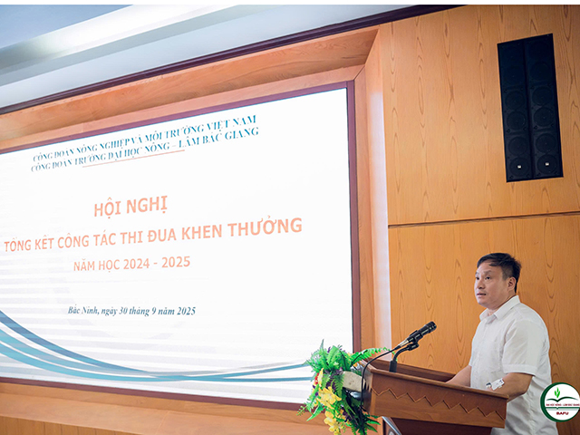 Tôn vinh những tập thể, cá nhân tiêu biểu trong phong trào thi đua Công đoàn năm học 2024 – 2025